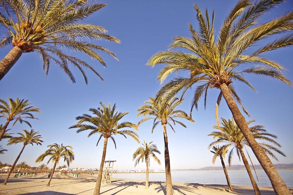 Sahara Nubia Gobi Hotel Ses Cadenes Bagian luar foto Palma de Mallorca