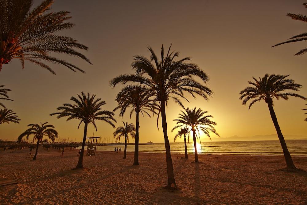 Sahara Nubia Gobi Hotel Ses Cadenes Bagian luar foto Palm trees on the beach at sunset